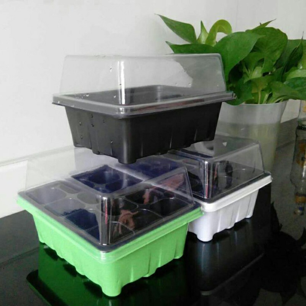 Seed Starter Kit 12 Cells Seed - Bonsai Garden Grow Kit recension och pris