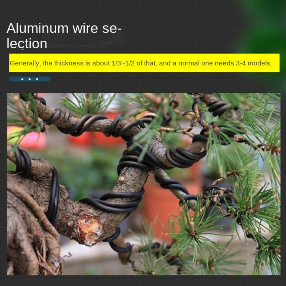 Aluminum Bonsai Wire Garden Bo - Bonsai Wire Aluminum recension och pris