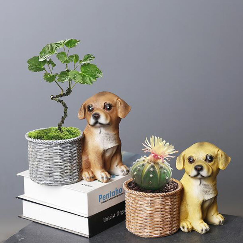 Household Living Room Office R - Bonsai Garden Art recension och pris