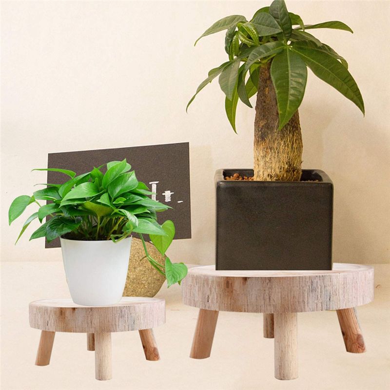 A53Q-Mini Wooden Stool Display - Bonsai Garden Display Stands recension och pris
