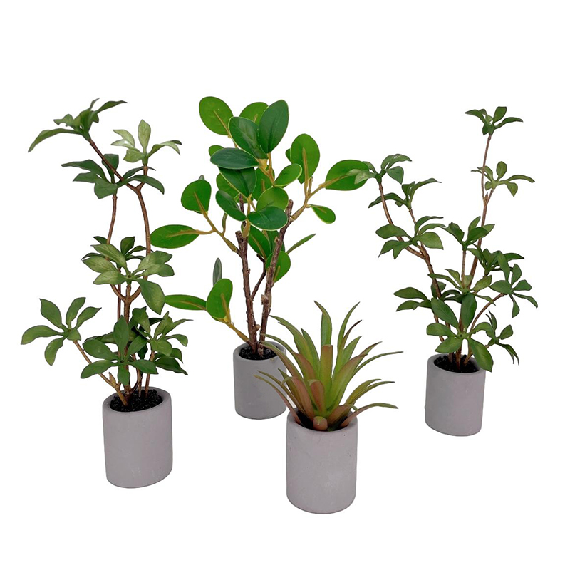 1:6 Dollhouse Miniature Potted - Bonsai Garden Home recension och pris