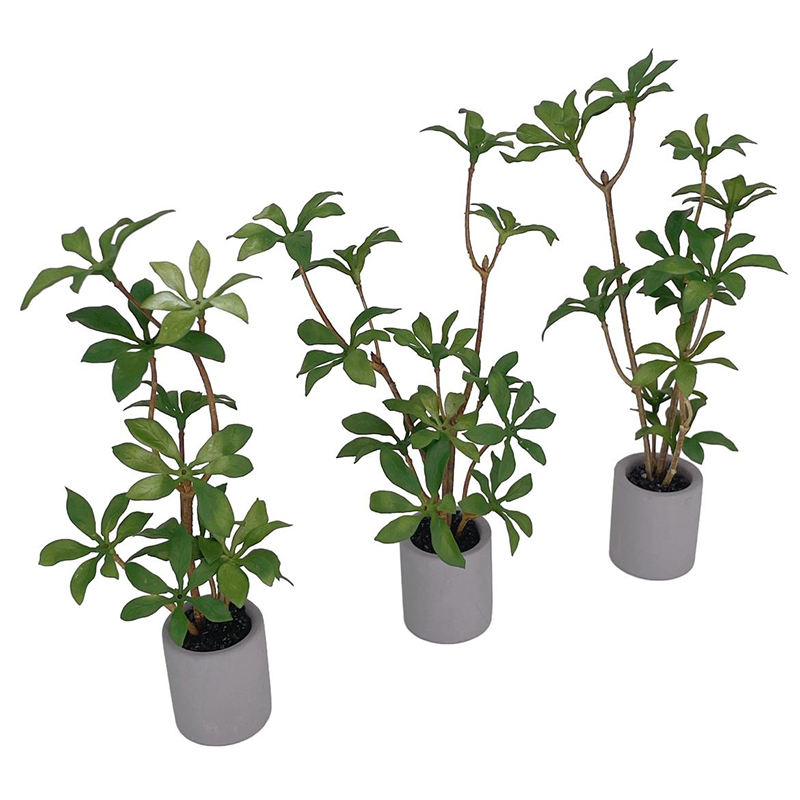 1:6 Dollhouse Miniature Potted - Bonsai Garden Home recension och pris