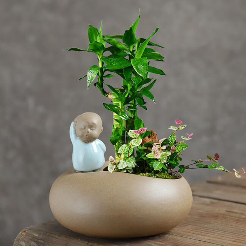 Chinese Style Retro Ceramic Mo - Bonsai Garden Art recension och pris