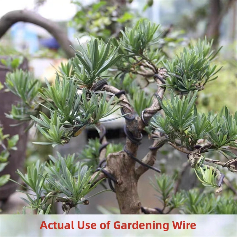 1.5MM Bonsai Wires Aluminum Bo - Bonsai Garden Home recension och pris