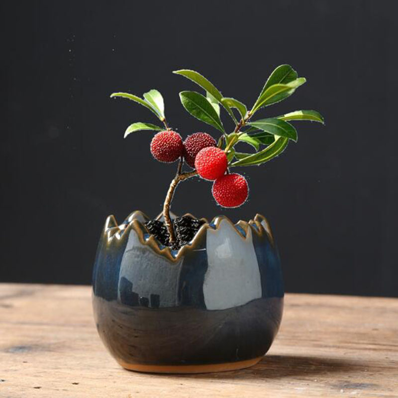 Kiln Transmutation Glazed Eggs - Bonsai Garden Art recension och pris