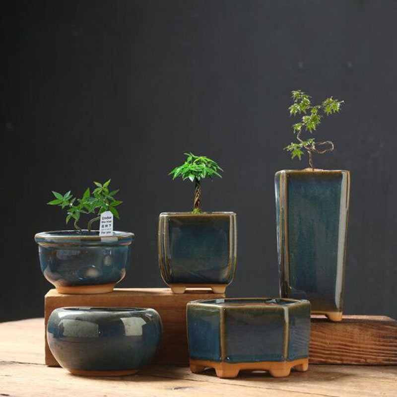 Kiln Transmutation Glazed Eggs - Bonsai Garden Art recension och pris