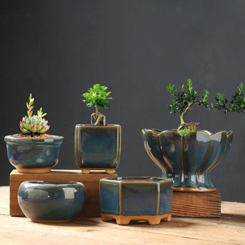 Kiln Transmutation Glazed Eggs - Bonsai Garden Art recension och pris
