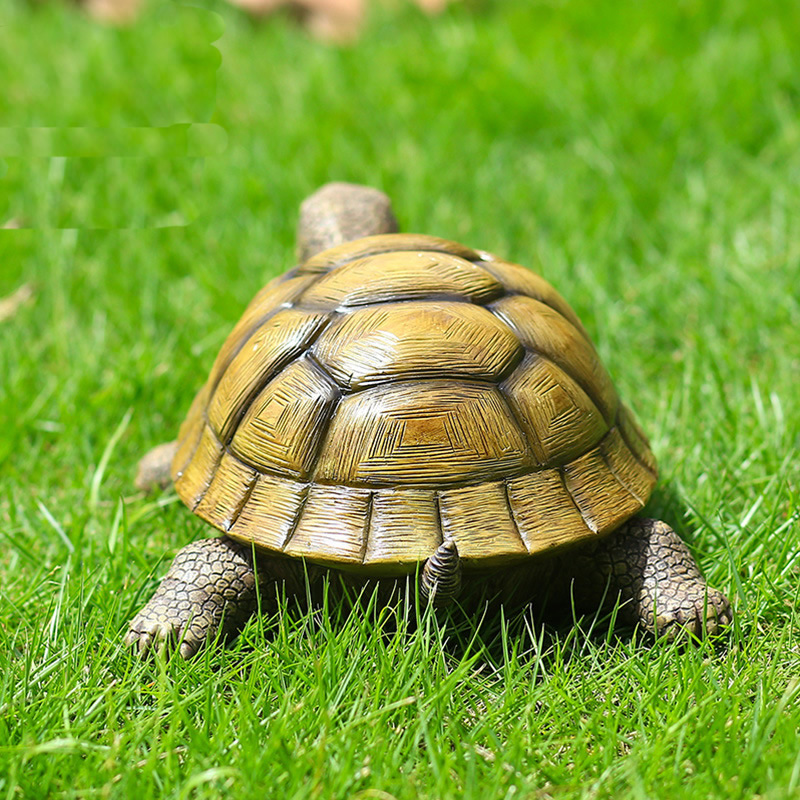 Cute Decorative Turtle Resin T - Bonsai Garden Home recension och pris