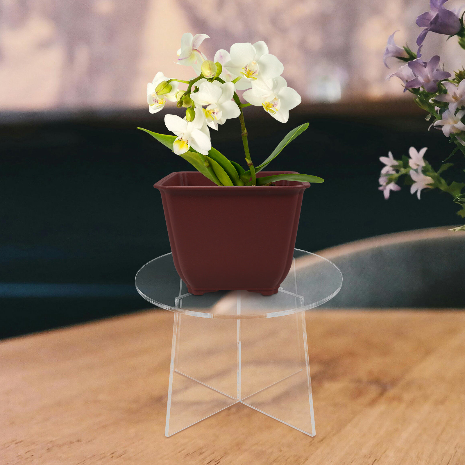 Acrylic Plant Stand Stable Flo - Bonsai Garden Display Stands recension och pris