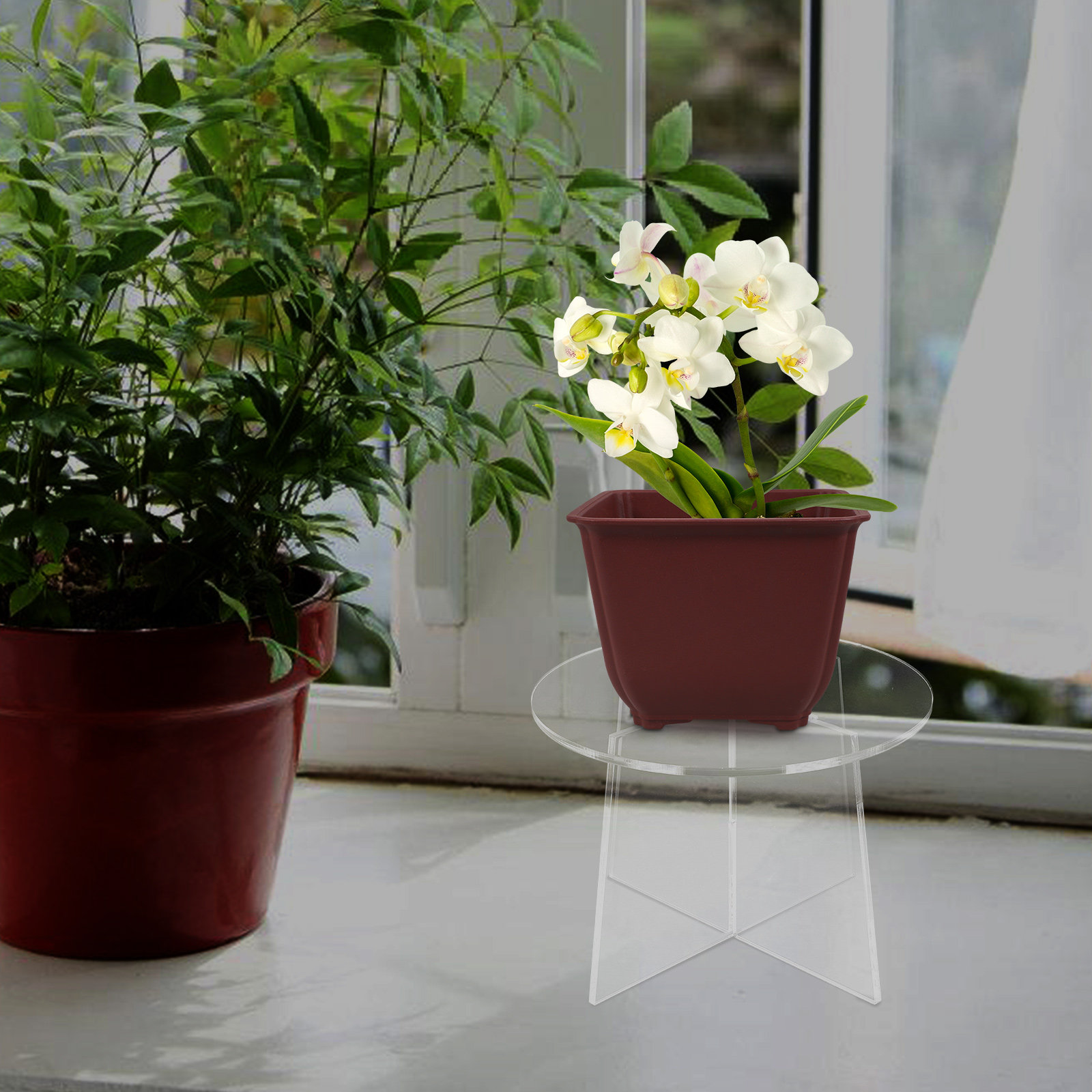 Acrylic Plant Stand Stable Flo - Bonsai Garden Display Stands recension och pris