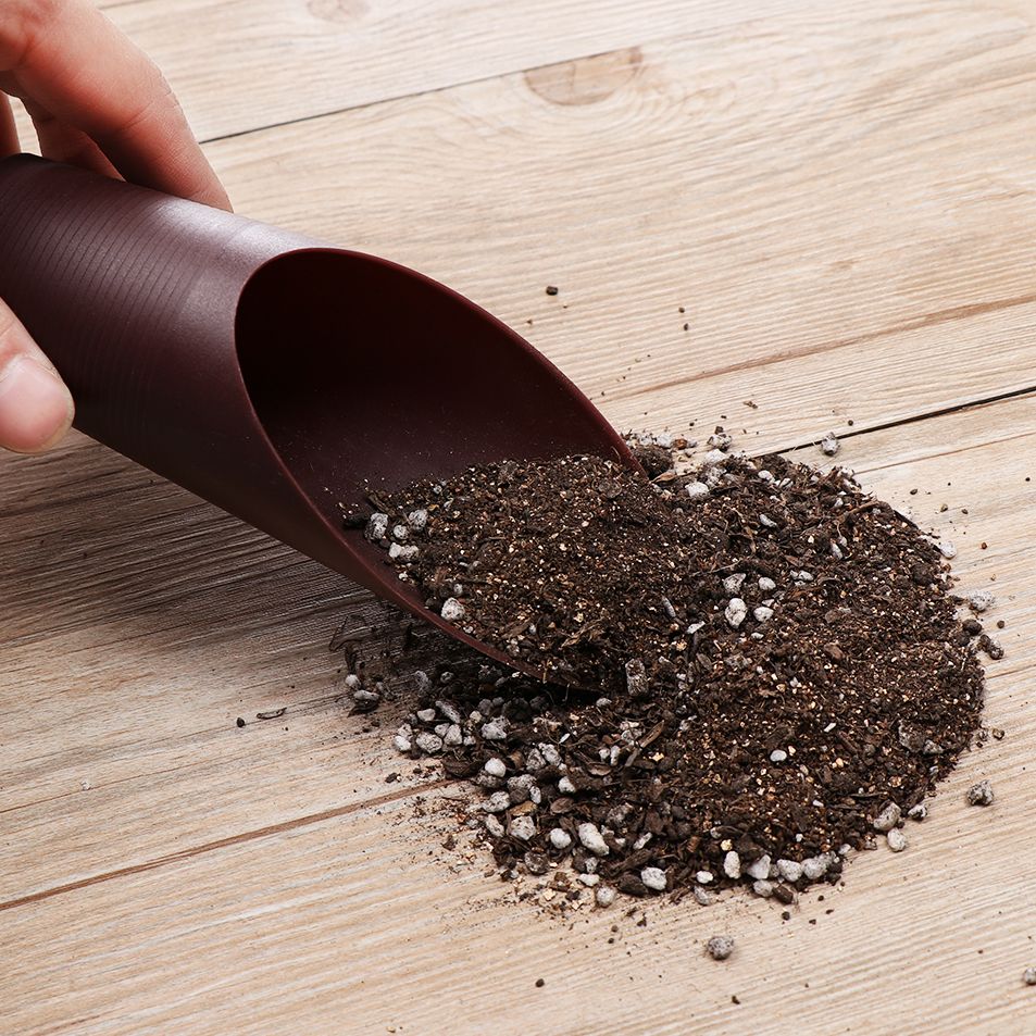 1PC Plastic Soil Shovel Cup Fo - Bonsai Garden Home recension och pris